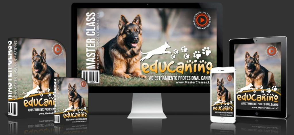Educanino es el único programa completo de adiestramiento canino en español